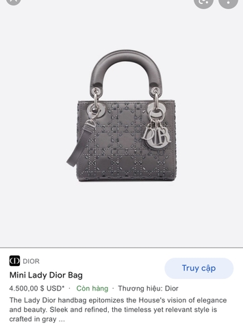 미니 LADY DIOR 백 그레이 스트라스 까나쥬 새틴