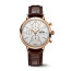 IWC IW391025 포르토피노 크로노그래프