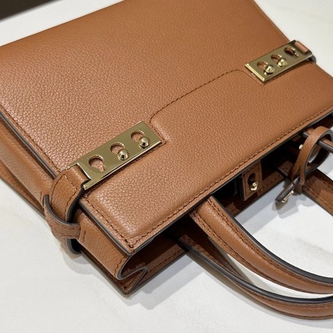 Delvaux Tempête Crush Small Silky 카프스킨 골드