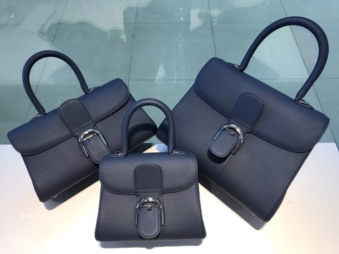 Delvaux Brillant 미니 로데오 송아지 가죽 네이비 블루