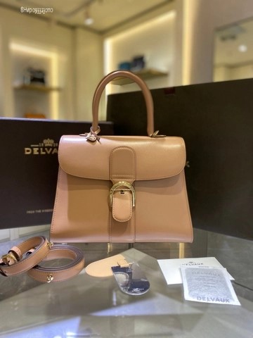 Delvaux Brillant MM 박스 카프 텐더 베이지