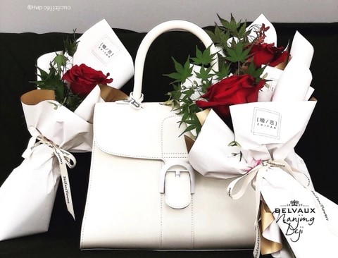 Delvaux Brillant MM 박스 카프 화이트