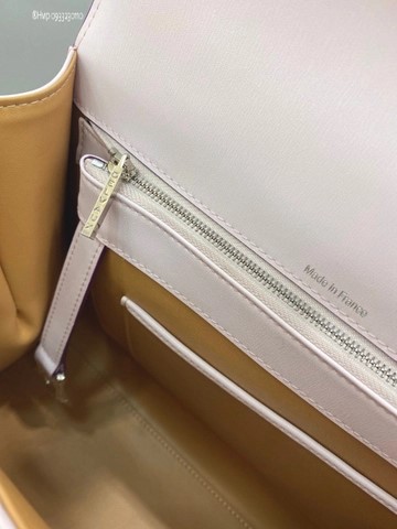 Delvaux Brillant MM 박스 카프 핑크