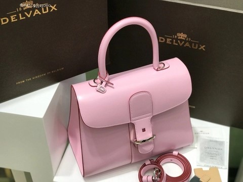 Delvaux Brillant MM 박스 카프 핑크