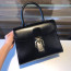 Delvaux Brillant MM 박스 카프 블랙
